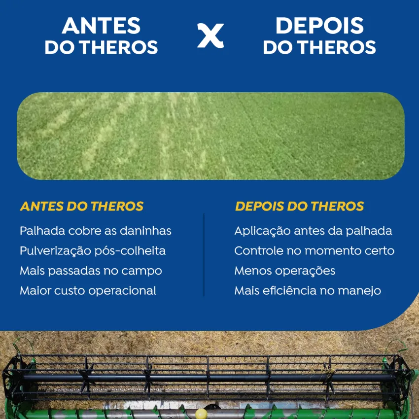  ANTES DO THEROS x DEPOIS DO THEROS