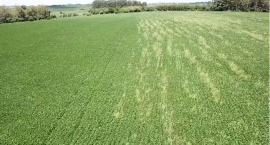 Comparação de Resultados - Com e Sem Theros